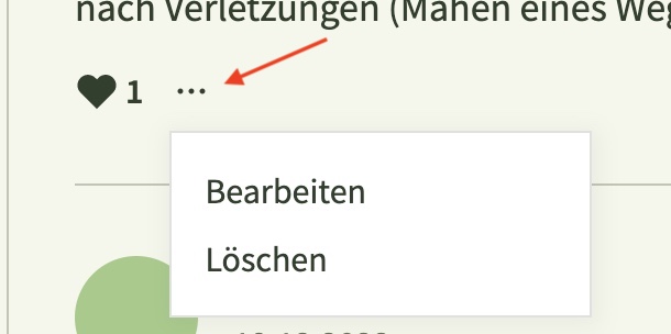 Hinter den 3 Pünktchen verstecken sich bei den eigenen Beiträgen die Bearbeiten- und Löschen-Funktion.