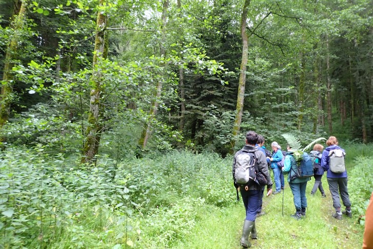 Schüpfen (BE), 23.06.2024